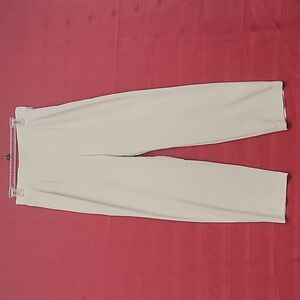 Briggs New York Beige Dress Pants Womens Size 10 Petite Side Zip